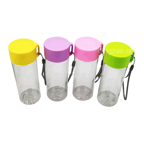 PCTG Portable Water Bottle (300ml)