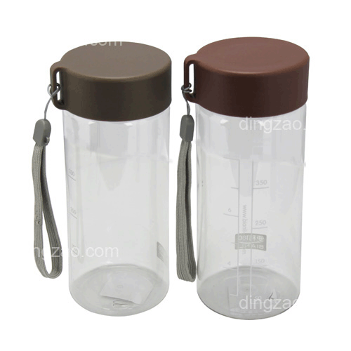 PCTG Portable Water Bottle (550ml)