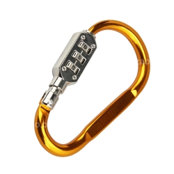 Carabiner Combination Lock (10.7 cm)