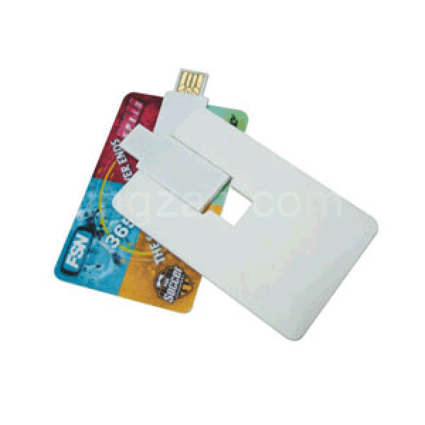 Credit Card Size USB Flash Drive (1GB)