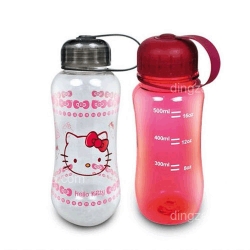 Translucent Water Bottle (500ml)