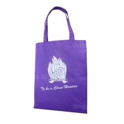 80g Eco-friendly Bag (30 x 38cm)