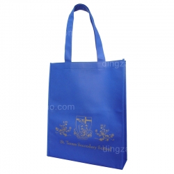 80g Eco-friendly Bag (30 x 36 x 9 cm)