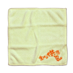 Microfiber Towel (20 x 20 cm)