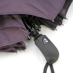 Automatic Folding Umbrella