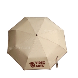 Foldable Umbrella