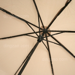 Foldable Umbrella