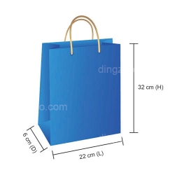 Paper Bag (22 x 6x 32cm)