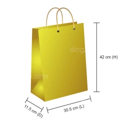 Paper Bag (30.5 x 11.5 x 42cm)