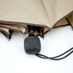 Foldable Umbrella