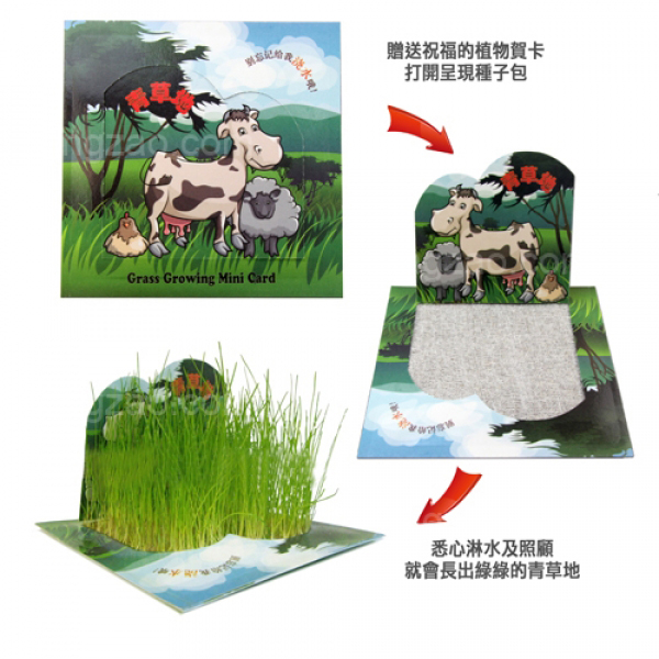 折叠植物賀卡
