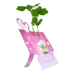 魔豆植物賀卡