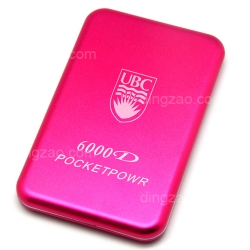 Mobile Power Bank (5000mAh)