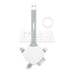 Quatro 4-in-1 Charging Cable