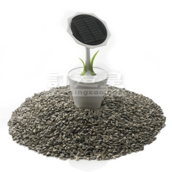 Sunflower Solar Flower Charger