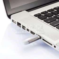Tag Clip-on USB (4G)