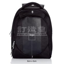 Computer Backpack