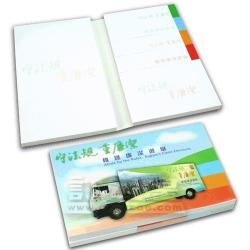 Combined Sticky Memo Pad (6.0 x 10.0cm/100 sheets)