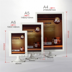 Flyer Display Stand 