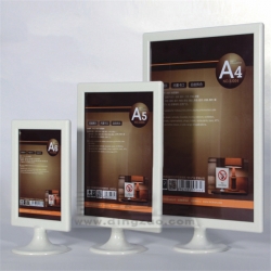 Flyer Display Stand 