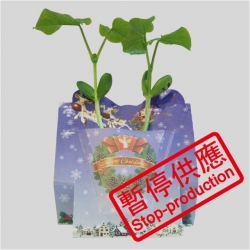 魔豆植物賀卡