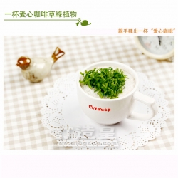 杯中叢林盆栽