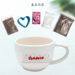 杯中叢林盆栽