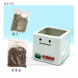 迷你盆栽