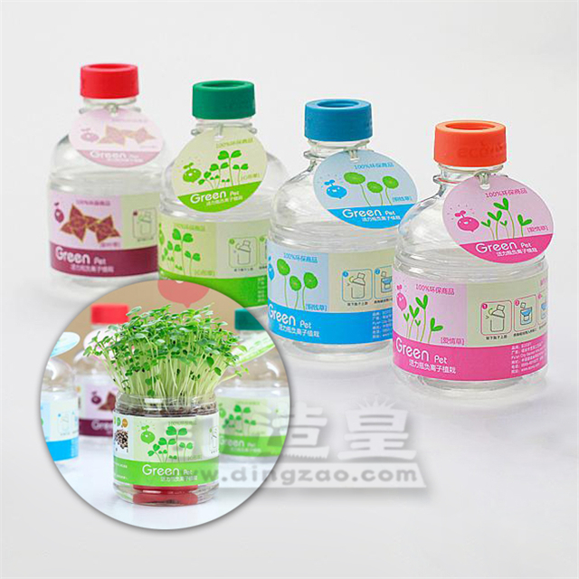 陶碳球水樽盆栽_FBC023