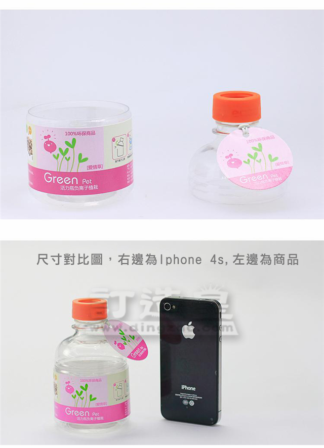 陶碳球水樽盆栽_FBC023_B