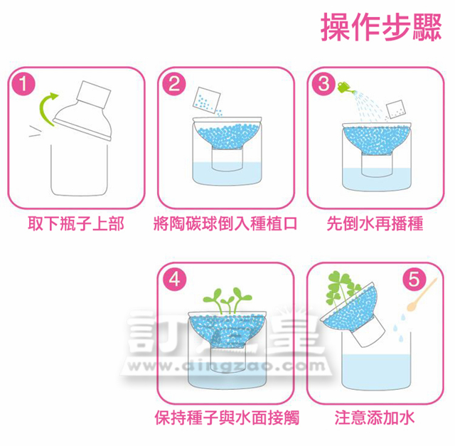陶碳球水樽盆栽_FBC023_C