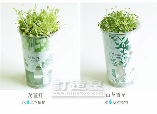 陶碳球香草盆栽_FBC025_B