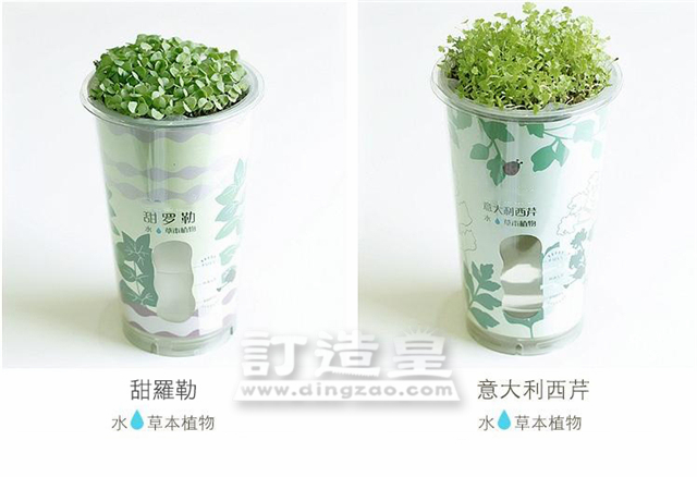 陶碳球香草盆栽_FBC025_C
