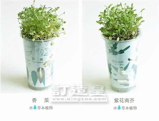 陶碳球香草盆栽_FBC025_D