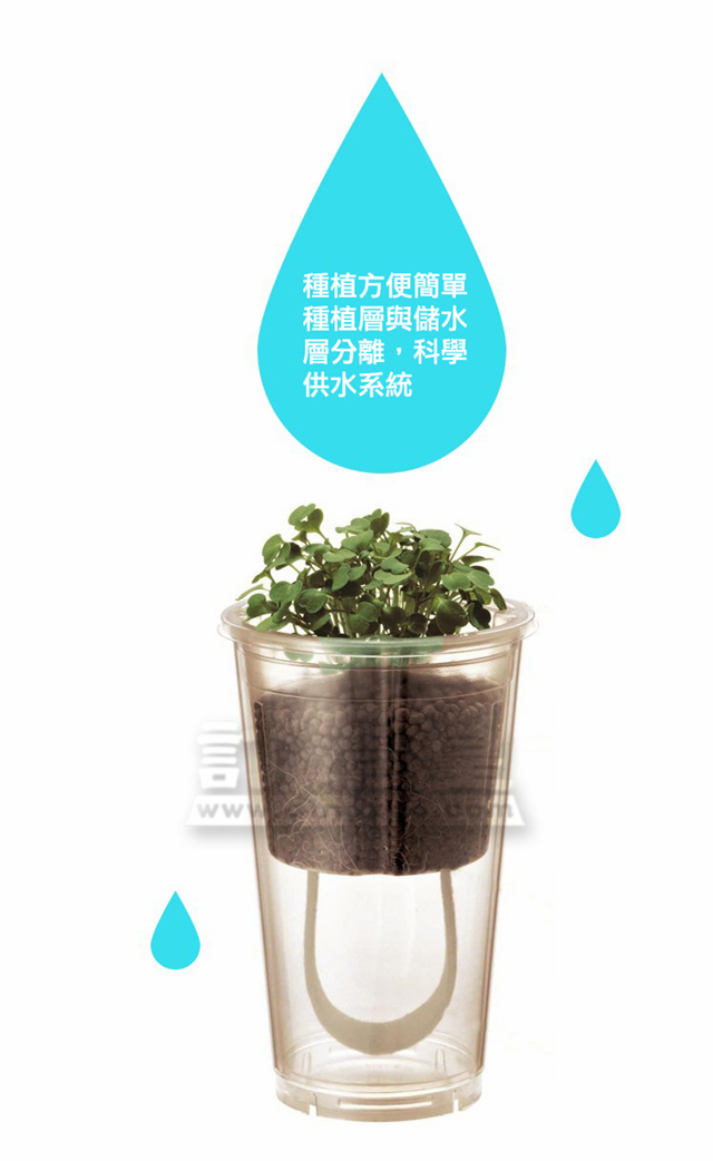 陶碳球香草盆栽_FBC025_E