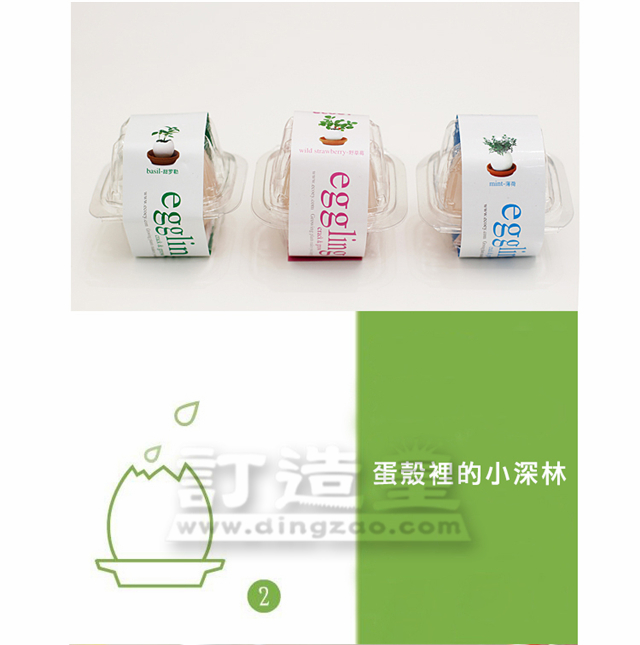 幸運雞蛋盆栽_FBC022_B