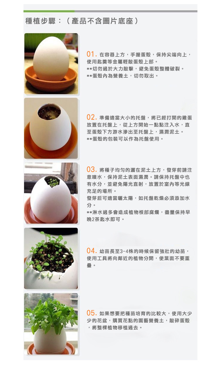 幸運雞蛋盆栽_FBC022_E