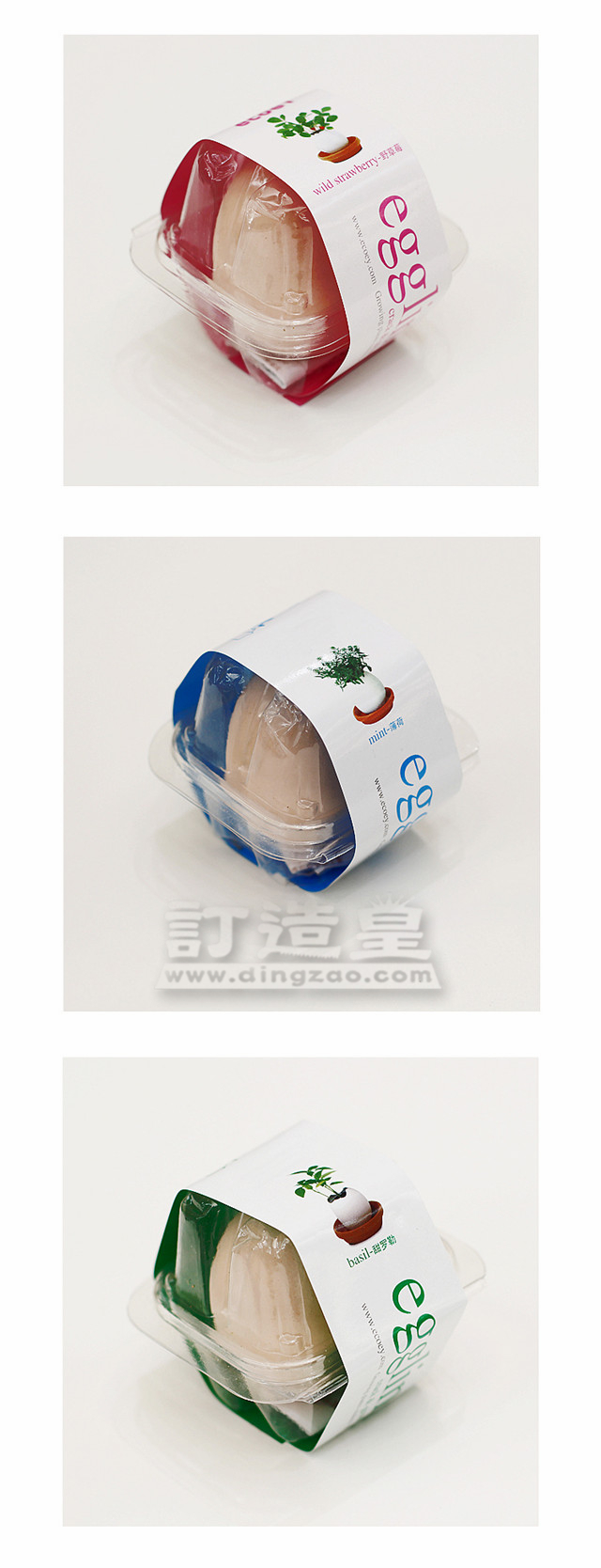 幸運雞蛋盆栽_FBC022_F